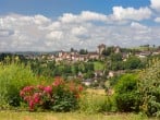 Curemonte Garden Curemonte Garden